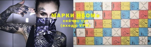 сатива Бородино