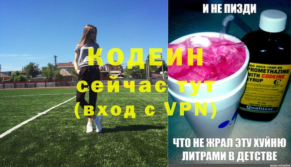 сатива Бородино