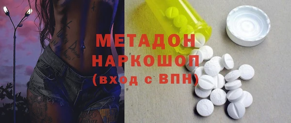 сатива Бородино
