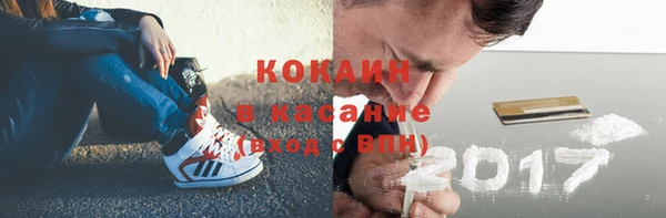 сатива Бородино