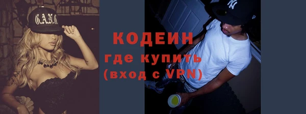 сатива Бородино