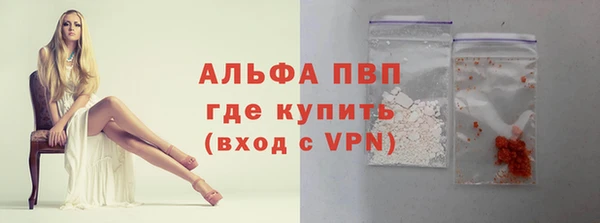 сатива Бородино