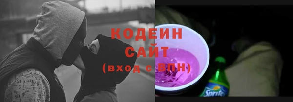 сатива Бородино