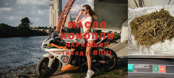 сатива Бородино