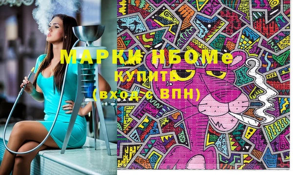 сатива Бородино