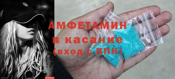 шишки Горняк